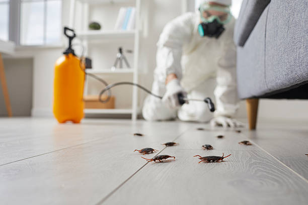 Commercial Kitchen Cockroach Control in Ave Maria